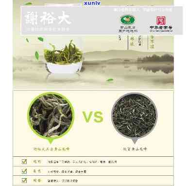 谢裕大的茶叶怎么样，探究谢裕大茶叶的品质与口感，全面解析其优缺点