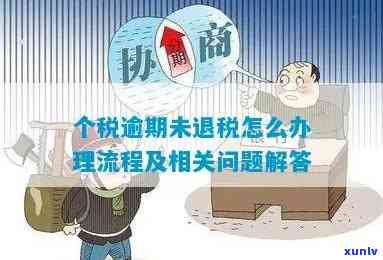 个体逾期报税怎样解决？流程、作用及解决  全解析