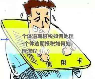 冲泡普洱茶的理想壶大小：多大的壶才合适？