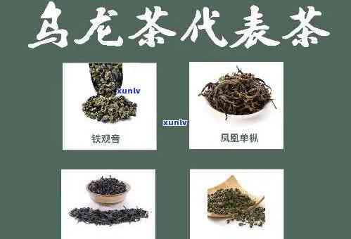 中国有哪些名茶叶，探秘中国名茶：从龙井到普洱，你不可错过的茶品种！