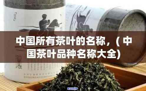 中国有哪些名茶叶，探秘中国名茶：从龙井到普洱，你不可错过的茶品种！