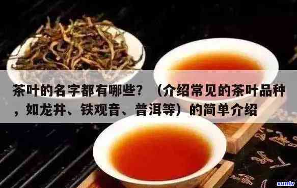 中国有哪些名茶叶，探秘中国名茶：从龙井到普洱，你不可错过的茶品种！