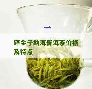 倚邦园碎金子茶叶-倚邦园碎金子是什么茶