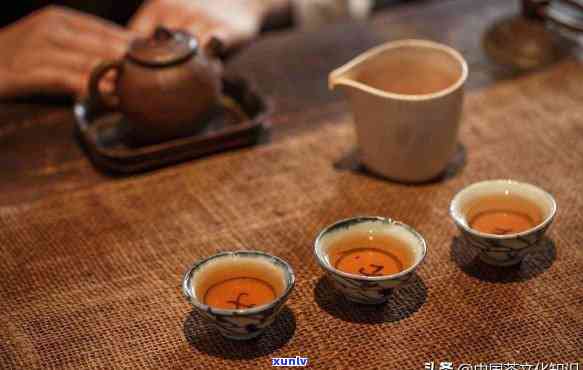 泡功夫茶的茶叶-泡功夫茶的茶叶是什么