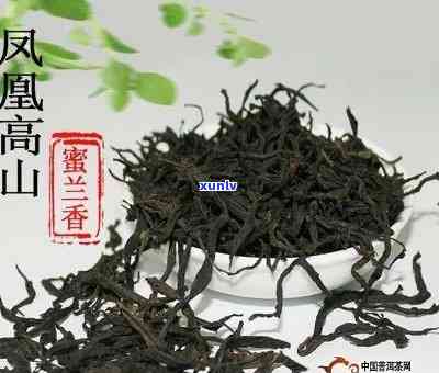 凤牌茶叶什么档次，探讨凤牌茶叶的档次与品质