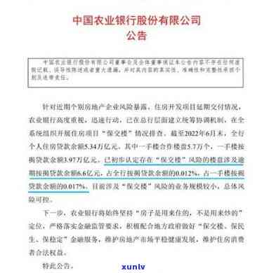 农行贷款有逾期记录两个月可以贷款吗，农行贷款：逾期两个月还能申请吗？