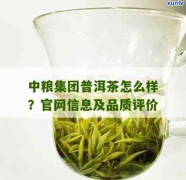 中粮集团的茶叶质量如何？全面评测解析