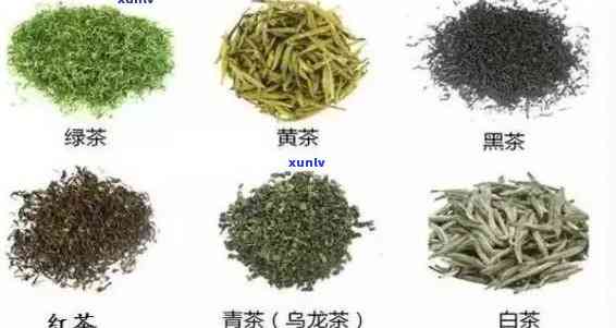 适合常存的茶叶品种有哪些？了解常见常存茶叶种类与特点