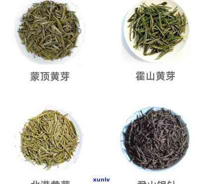 适合常存的茶叶品种有哪些？了解常见常存茶叶种类与特点