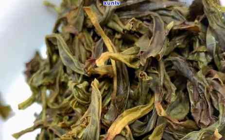 单丛茶属什么类茶叶，探秘单丛茶：了解其所属的茶叶类别