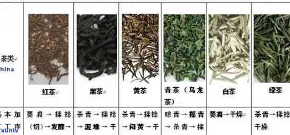 有天然花香味的茶叶是什么茶？详解各类花香型茶叶的特点与区别