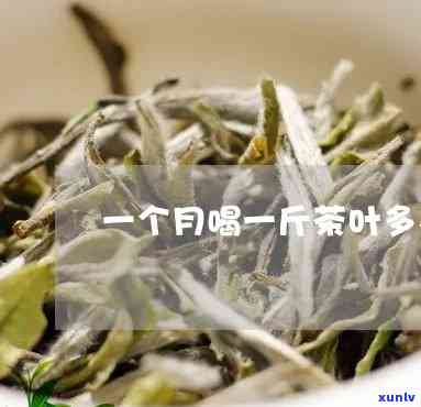 一个月能喝多少茶叶-一个月能喝多少茶叶水