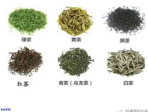 三级茶叶和特级茶叶有区别吗？详解特级与三级茶叶的差别及优劣比较