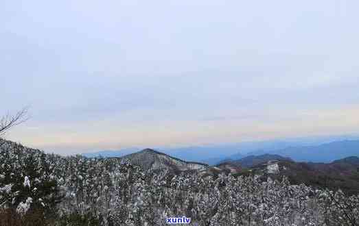 奉化雪山游玩攻略，探索自然美景：奉化雪山游玩全攻略