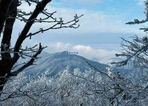 奉化雪山游玩攻略，探索自然美景：奉化雪山游玩全攻略