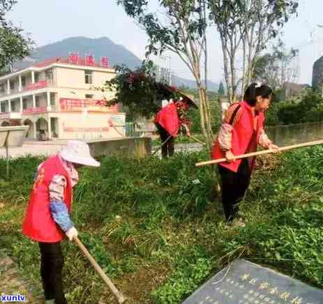 怎么诱导客户买茶叶-怎么诱导客户买茶叶呢