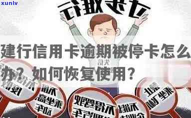 建行逾期两个月停卡恢复的几率大吗？