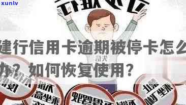 建行逾期两个月停卡恢复的几率大吗？