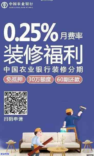 农业银行家装贷逾期：结果、解决方法全解析