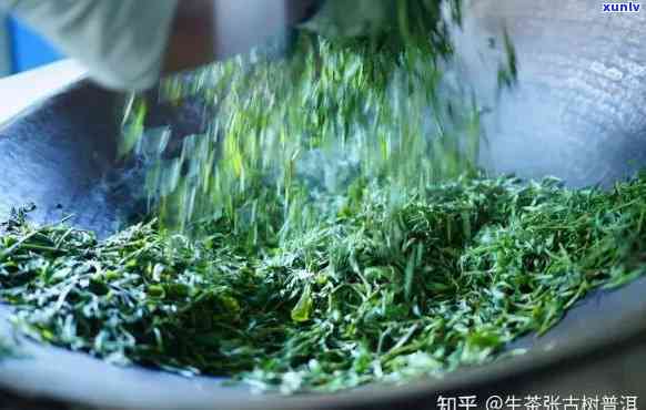 树叶怎么 *** 茶叶的，揭秘树叶茶的 *** 过程，从采摘到泡制全解析