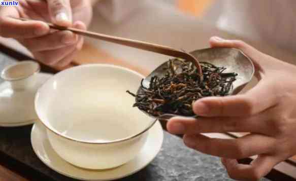 冲茶一次放多少茶叶？掌握比例，泡出好喝的茶