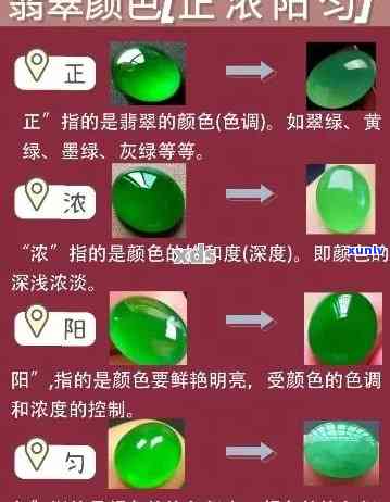 飘阳绿翡翠属于何种级别？了解其分类与特点！