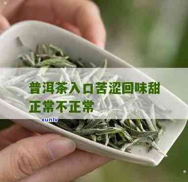 入口苦涩,后有回的茶，初尝苦涩，回味甜：探索茶叶的独特口感之旅