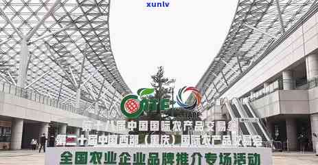 泡水立起来的茶叶叫什么，神奇！泡水后能立起来的茶叶，你知道它叫什么吗？