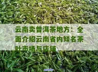 昆明哪里买茶叶？探索昆明茶叶购买地点