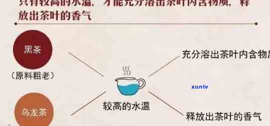 煮茶水放多少？正确比例与茶叶数量的关系