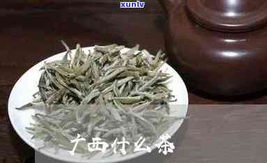 西大化特产的茶叶品种及介绍