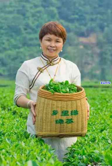 查找西防城港名牌茶，探寻西防城港的名牌茶叶，品味地道美味！