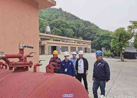 浙江省丽水松阳茶叶-浙江省丽水松阳茶叶市场地址