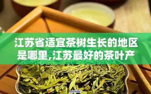 江哪些地方产茶叶最多？详细解析江茶叶产地分布