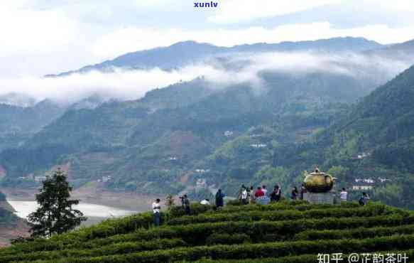 江茶叶产区，探秘江茶叶产区：品味中国名茶的故乡