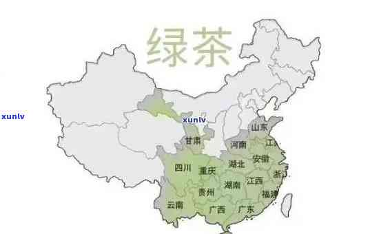 中国哪些地方种茶叶最多？探讨茶叶主产区及其特点