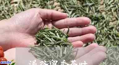 武夷山溪谷留香茶业 ***  *** 是多少？