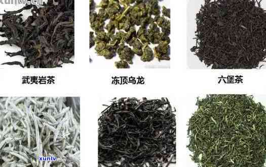 黄山出产的几种茶叶-黄山出产的几种茶叶品种