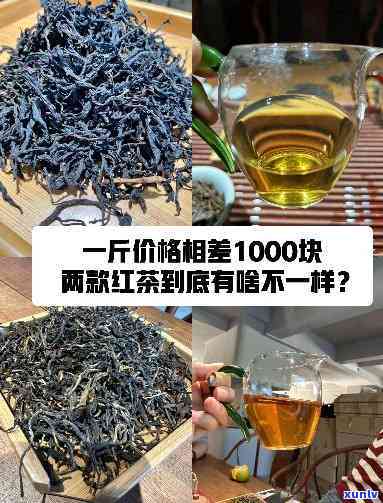 1000多一两的茶叶：价格差异解析