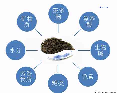 自己种的茶叶能喝吗有营养吗，自种茶叶是否安全健？营养成分解析