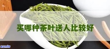 买茶叶送人，哪里买好？优质推荐！