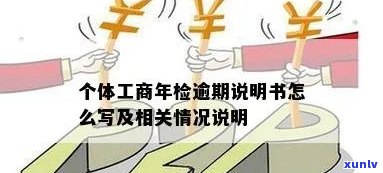 个人工商户年报逾期-个人工商户年报逾期情况说明文