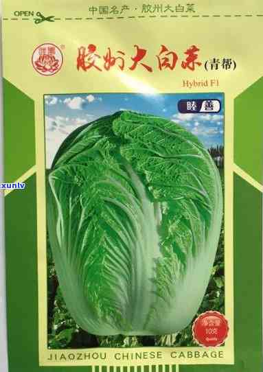 福今大白菜茶叶历-福今茶厂大白菜