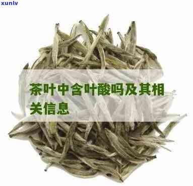 茶叶里有叶酸成分吗-茶叶里有叶酸成分吗能喝吗