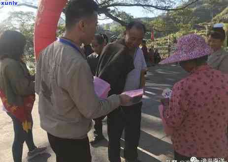 漳平市茶叶场，探索中国茶文化的魅力：漳平市茶叶场之旅