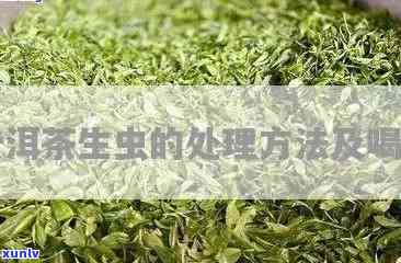 茶叶出虫了还能喝吗？有吗？正确处理 *** 与解决办法