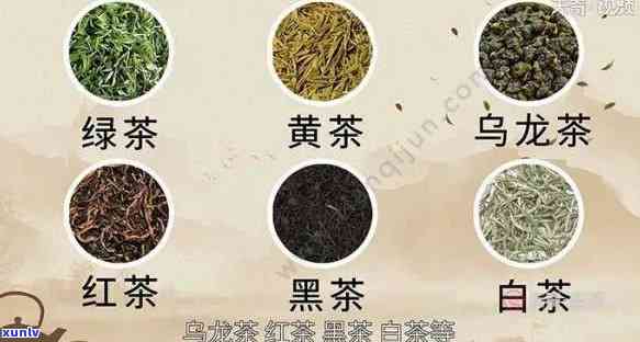 广东茶叶种类及名称-广东茶叶种类及名称大全