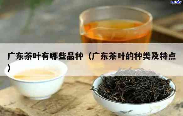 广东茶叶种类及名称-广东茶叶种类及名称大全