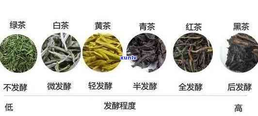 茶叶有什么种类名称吗，探秘茶的世界：了解茶叶的种类和名称