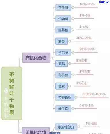 茶叶的基本成分组成，探索茶叶的奥秘：基本成分组成解析